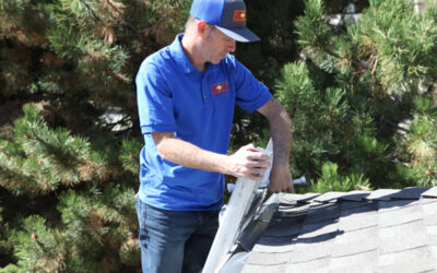 Do I need a New Roof?